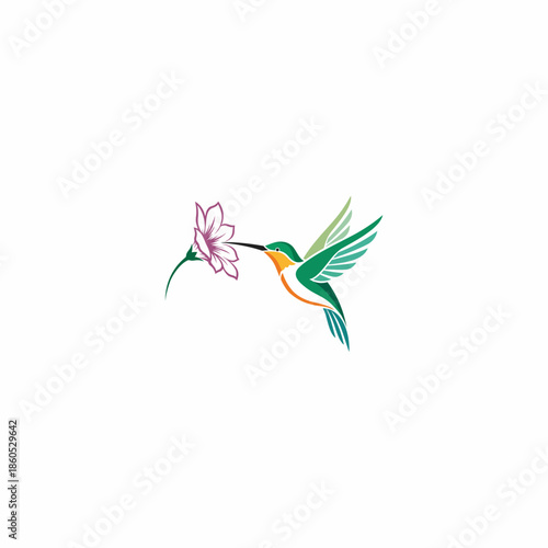 A vector illustration of a hummingbird sipping nectar from a flower, featuring a minimalist style and soft colors. A clean, modern design suitable for logos, branding, decor, creative products