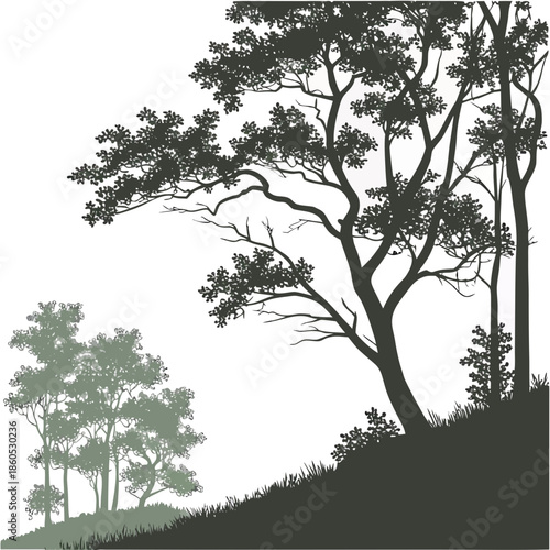 Forest edge with gradual thinning canopy realistic