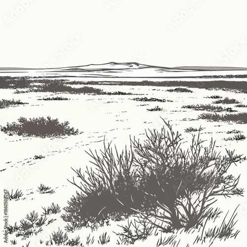 Tundra plain with distant low mounds and sparse vegetation