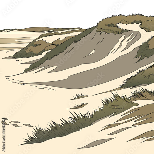 Coastal low dunes with compact sand and sparse vegetation 1