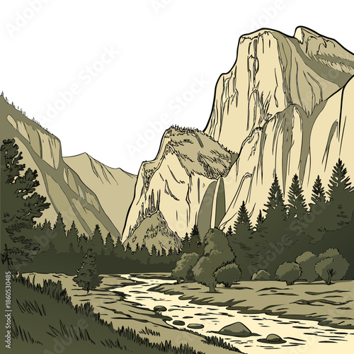 Mountain valley floor with braided river and trees