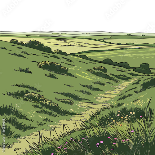 Green hillside with grass and flowers and a path through it