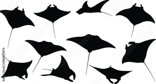 Manta ray silhouette, black marine vector, ocean animal icons, swimming pose illustration, aquatic wildlife graphic, sea creature design