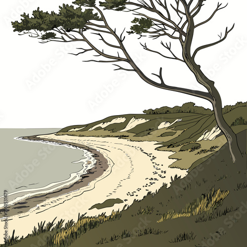 Tree on sandy beach with footprints and grassy dunes