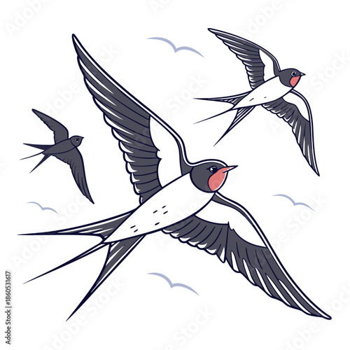 White background of swallows flying birds flock