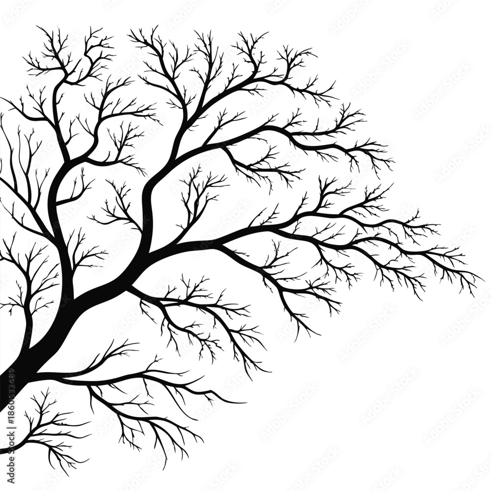 Fototapeta premium Silhouette of a Bare Tree Branching Outwards on White Background Keywords: tree, silhouette, bare, branches, branching, winter, autumn, dark, black, white, isolated, graphic, design, nature