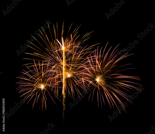 Colorful firework sparkling on black background for celebration and anniversary