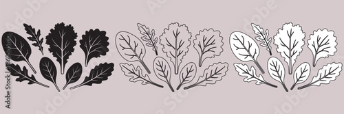 Set of hand drawn green leaves isolated on transparent background