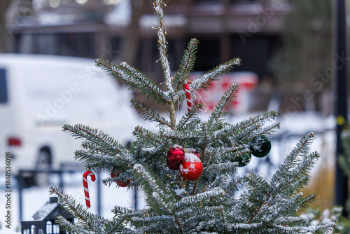 Snow covered Christmas ornaments on evergreen branches