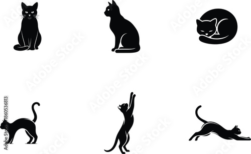 black cat silhouettes in different poses on white background