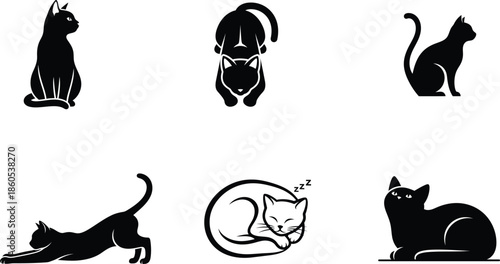 Set of cats in different poses and emotions on white background