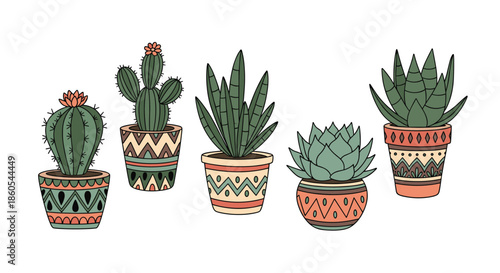 Charming collection of various potted cacti and succulent plants with decorative patterned pots on a clean white background.