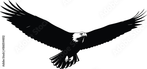 Majestic Bald Eagle Silhouette Vector Illustration Featuring a Large Bird of Prey Soaring With Open Wings for American Wildlife Design