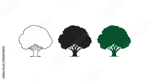Three trees in outline, silhouette, and filled color against a white background