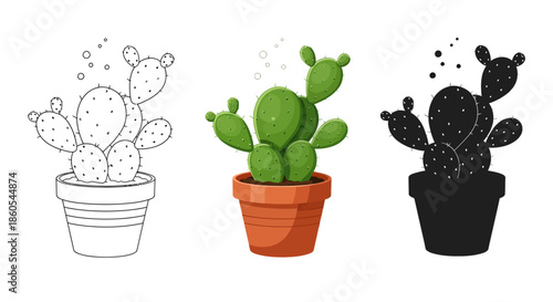 Set of three cactus illustrations in a pot outline, colored, and silhouette