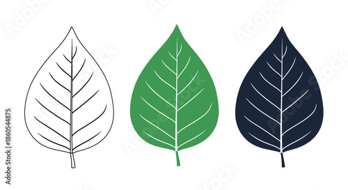 Three stylized leaves in green, dark blue, and outline showing the veins of a leaf
