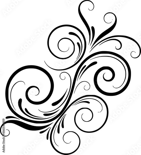 lack and white abstract swirls and flourishes, detailed vector art