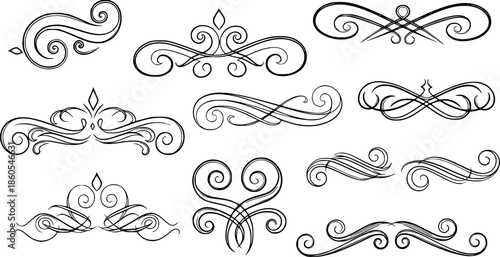 lack and white abstract swirls and flourishes, detailed vector art