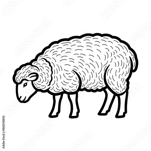 Grazing sheep isolated on white background, illustration