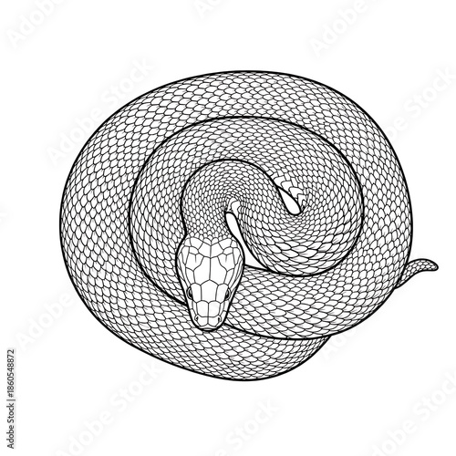 Coiled snake in hexagonal pattern isolated on white background, illustration