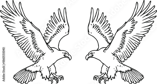 A pair of eagles in flight with outstretched wings and talons extended