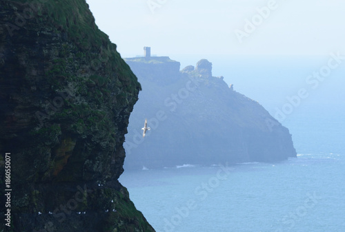 falaise de mohe irlande