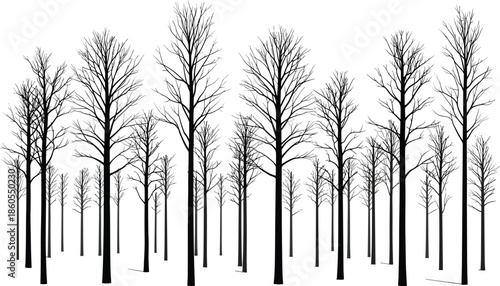 Black leafless forest tree silhouettes, winter bare woodland panorama vector illustration for nature background, minimal monochrome landscape design, seasonal scenery clipart