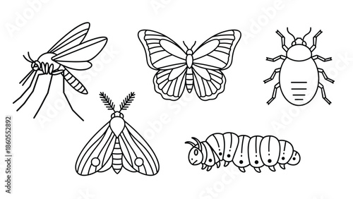 Insects and bugs in various stages of life cycle, Generative AI.
