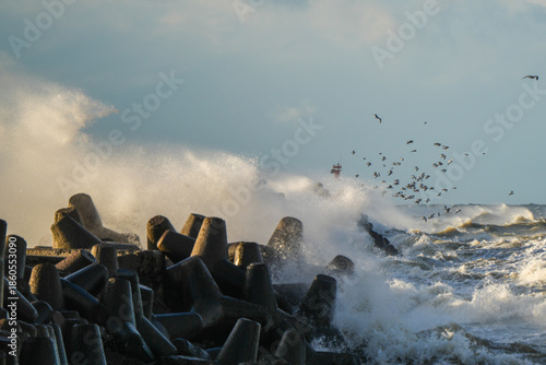 Powerful storm waves crashing on coastal breakwater with flying seabirds near Liepaja, Baltic Sea