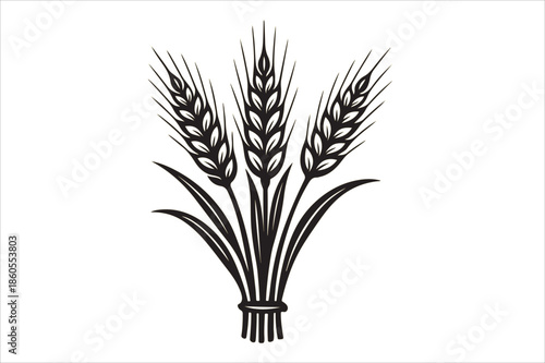 wheat in a vase isolated