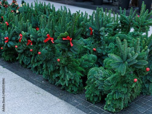 Decorative Christmas trees made from natural spruce branches displayed outdoors for sale. Concept of holiday retail decor background for home and garden, New Year shopping, marketing.