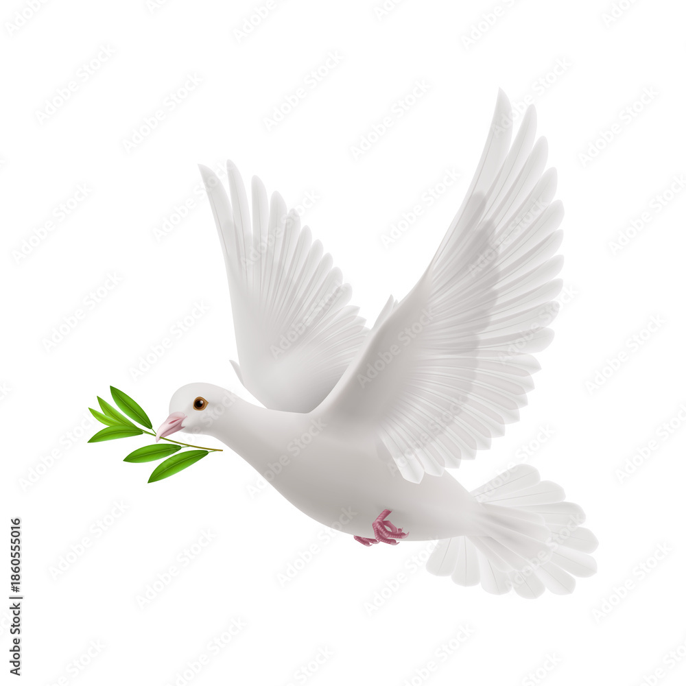 Obraz premium White peace dove flying with green olive branch leaf in beak, spiritual symbol of freedom and hope, realistic bird isolated on transparent background