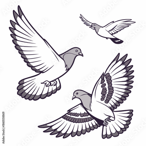 A graceful depiction of pigeons in flight showcasing their wingspans and dynamic movement against a white background