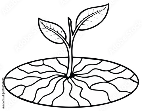 Black and white illustration of a seedling growing from soil with detailed roots