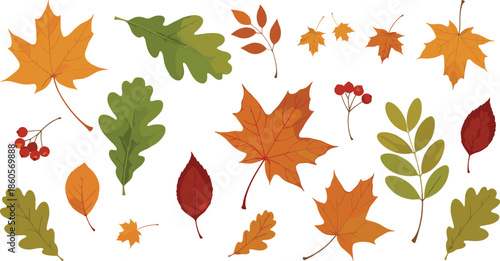 Autumn leaves and berries collection featuring maple oak and rowan foliage for fall season nature decor scrapbooking and botanical vector illustration design.