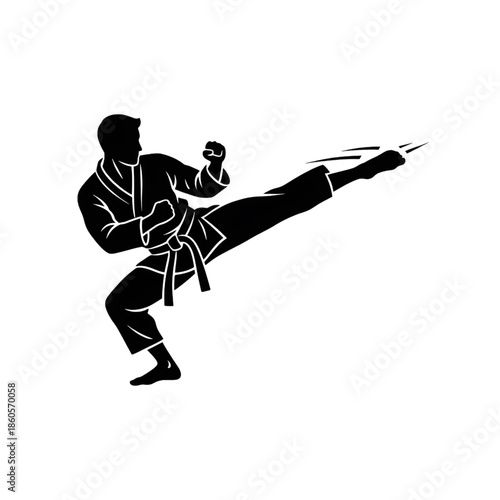 martial arts athlete silhouette performing a side kick in karate gi