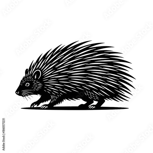 porcupine silhouette vector illustration of prickly wild animal