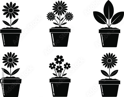 Beach, summer, vacation, gardening, icons, family, silhouettes, medical, nurse, sunbathing, surfing, dog, plants, palms, flowers, pots, kidney, lifestyle, 