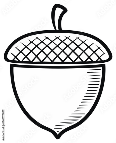 Acorn Line Art Illustration, Fall Season Nature, Outline of Nut, Simple Doodle Style, Autumn Harvest