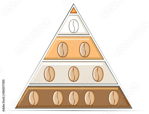 Coffee beans pyramid diagram showing quality hierarchy and roasting process stages