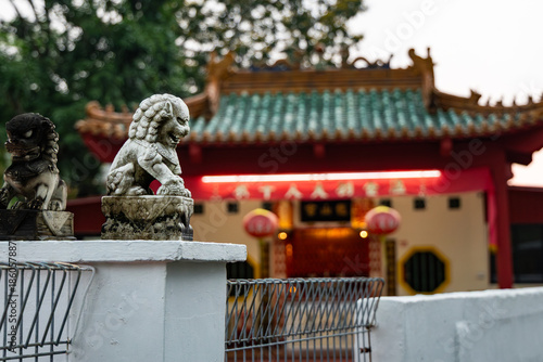 chinese lion statue