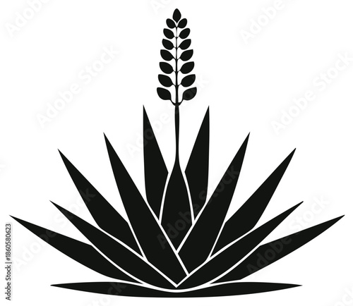Silhouette illustration of an agave plant with a flower and leaves.