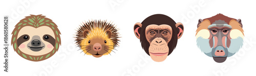 Illustrated sloth, porcupine, chimpanzee, and baboon faces on white background