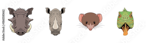 Illustrated animal faces: warthog, rhino, mouse, chameleon