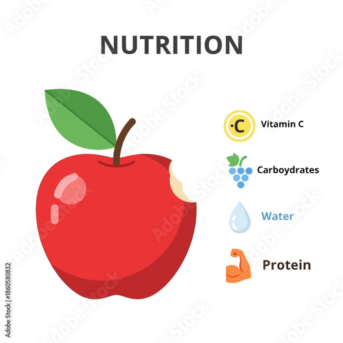 Simple graphic illustration detailing the essential nutritional components found within a red apple including vitamin c carbohydrates water and protein sources