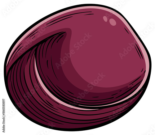 Vector Graphic Illustration of a Burgundy Clam Seashell Isolated