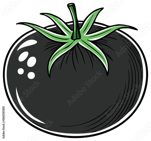 Single dark tomato illustration, detailed engraving, green stem, ripe, healthy, fresh food, vintage, graphic design