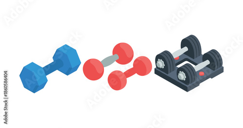 Colorful dumbbells and adjustable weights in a fitness setting