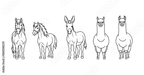 Line art of farm animals: horse, pony, donkey, llama, alpaca