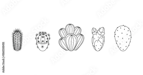 Outline drawings of various cacti: minimalist black and white cactus illustrations